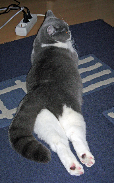 kering.com-2019年季后赛，库里在一场比赛中投中8个三分，刷新个人季后赛单场三分球纪录