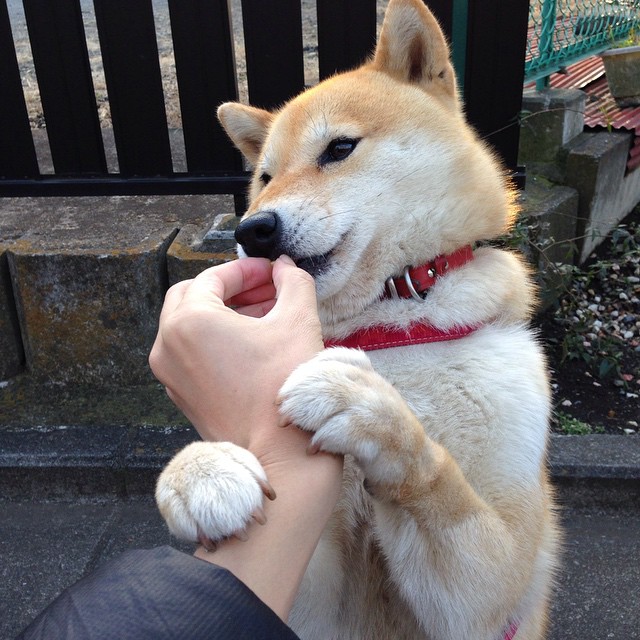 开云入口-《电竞公益赛：用比赛传递正能量》，电竞 公益